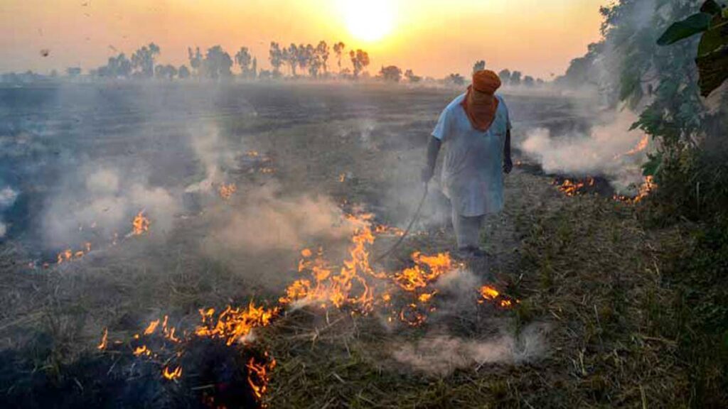 Stubble-burning