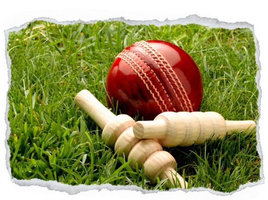 cricket