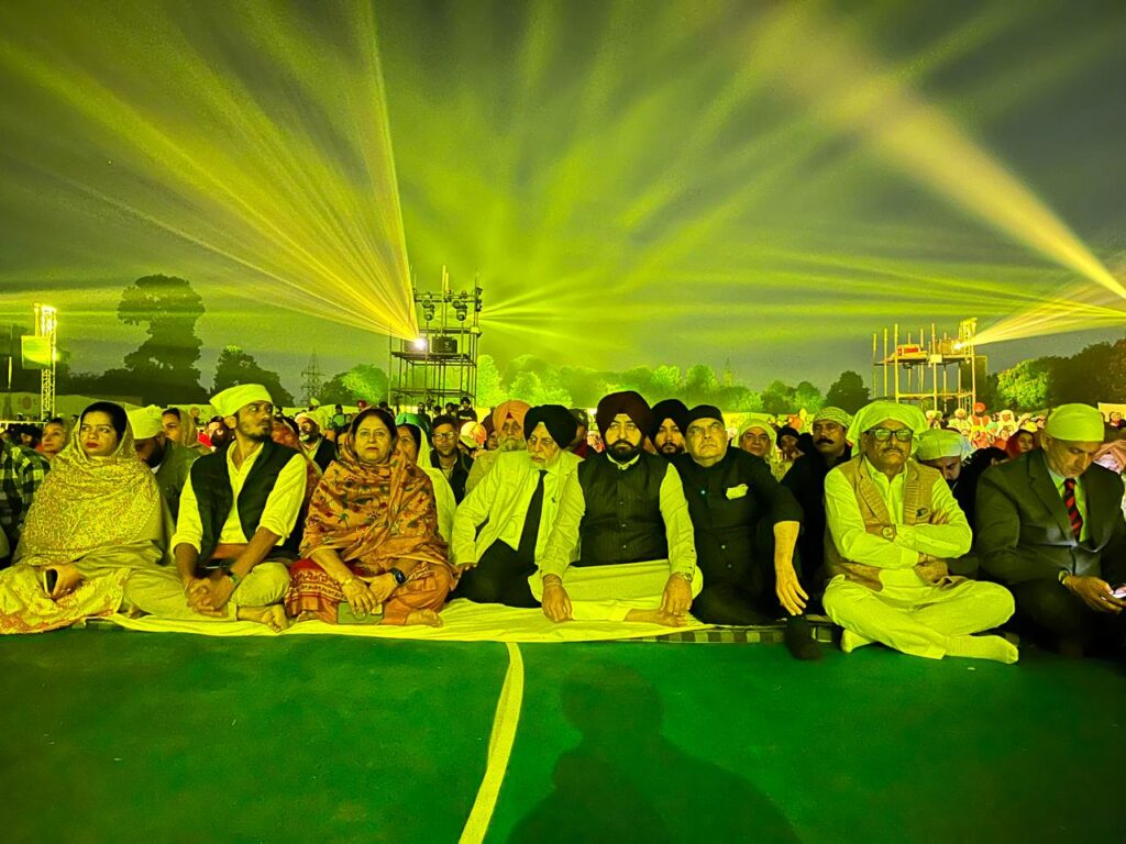 Light and Sound Show (5)