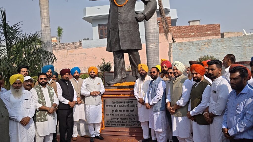 WhatsApp Image 2025-11-17 at 2.45.19 PM