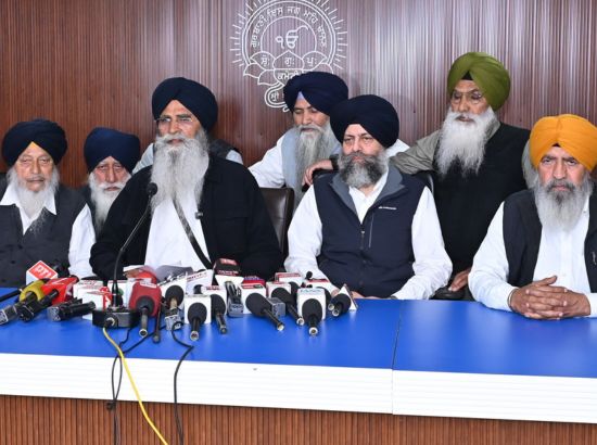 WhatsApp Image 2026-02-19 at 4.58.56 PM