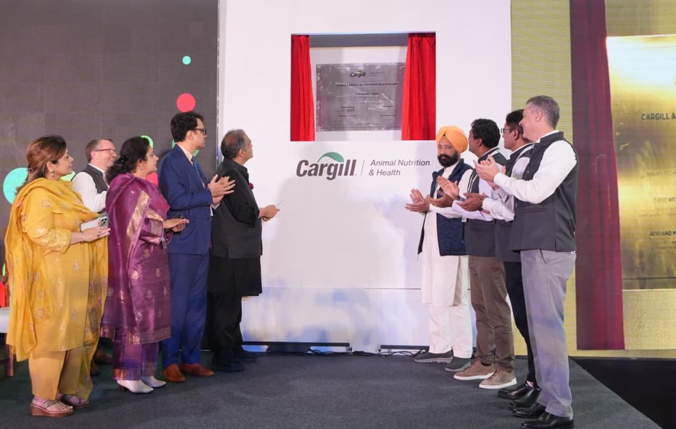 Screenshot 2026-03-01 150038