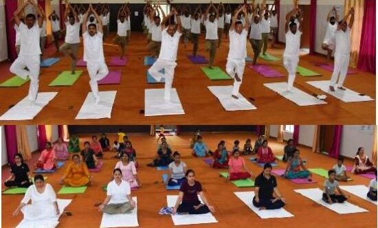 yoga-col-1685717676062