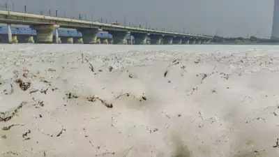 Toxic foam surfaces in Yamuna River near Kalindi Kunj amid rising pollution