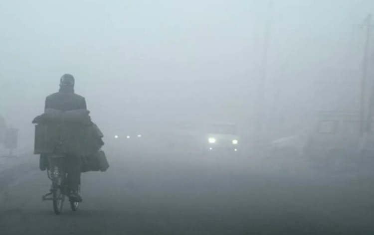 Fog layer blankets many regions of Northwest India, visibility affected