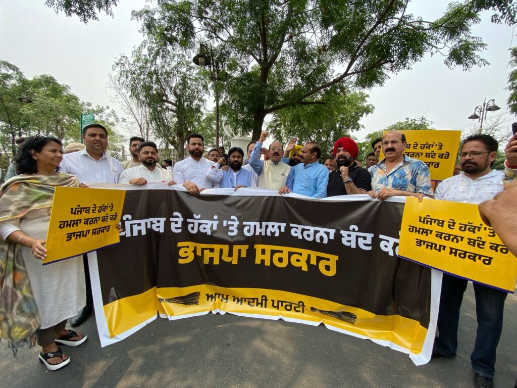 WhatsApp Image 2025-05-01 at 1.58.04 PM